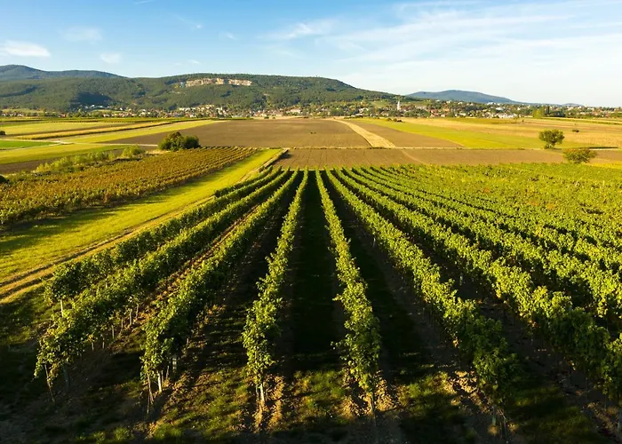 Office Base Motel 2*