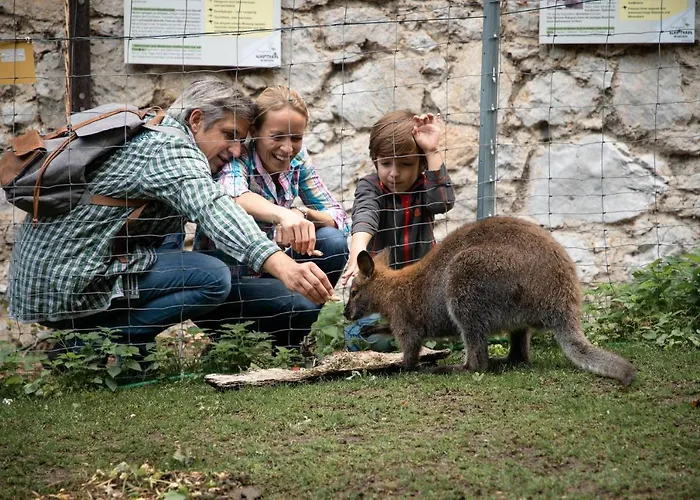 Office Base Bad Voeslau